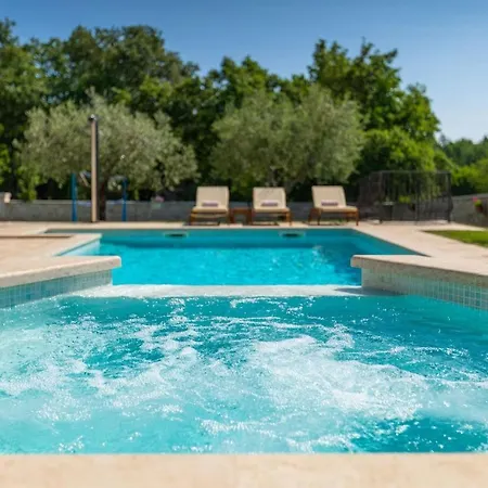 Villa Activity Gardenia With Pool In Tinjan Srbinjak