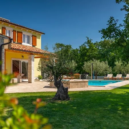 Activity Gardenia With Pool In Tinjan Villa Srbinjak