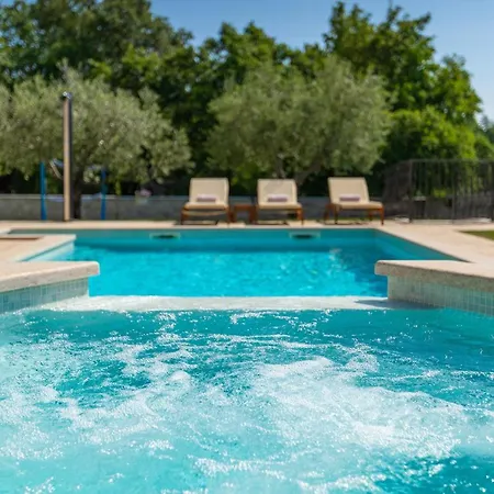 Activity Gardenia With Pool In Tinjan Villa Srbinjak
