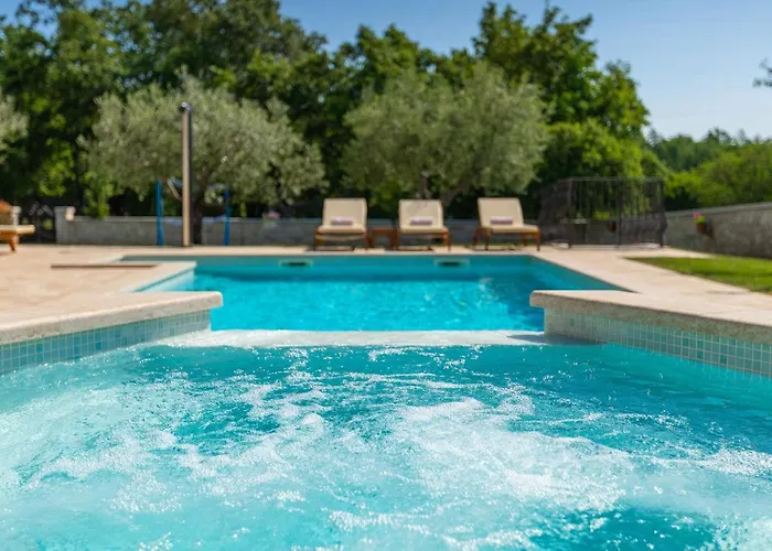 Activity Gardenia With Pool In Tinjan Villa Srbinjak